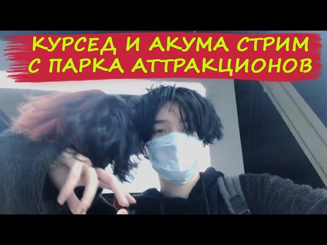 Стрим Курседа и Акумы в парке аттракционов