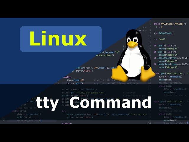 Linux Command - tty