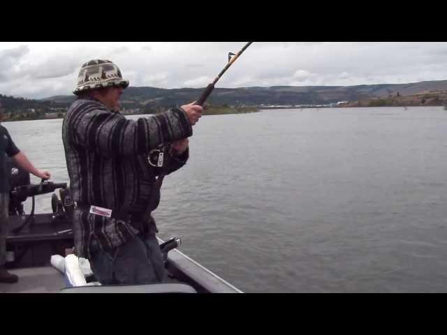 Captain Catfish vs. Columbia River White Sturgeon