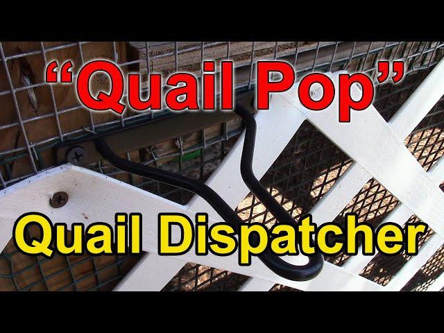 "Quail Pop" Quail Dispatcher