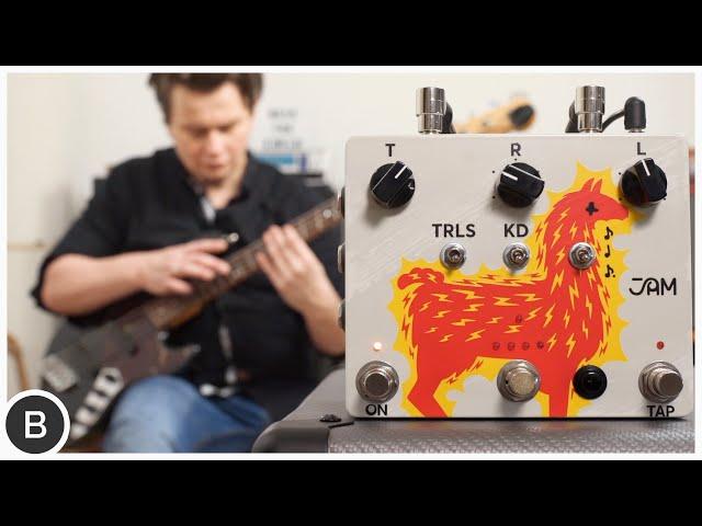 This Delay is CRAZY! (good) - Jam Pedals Delay Llama Xtreme