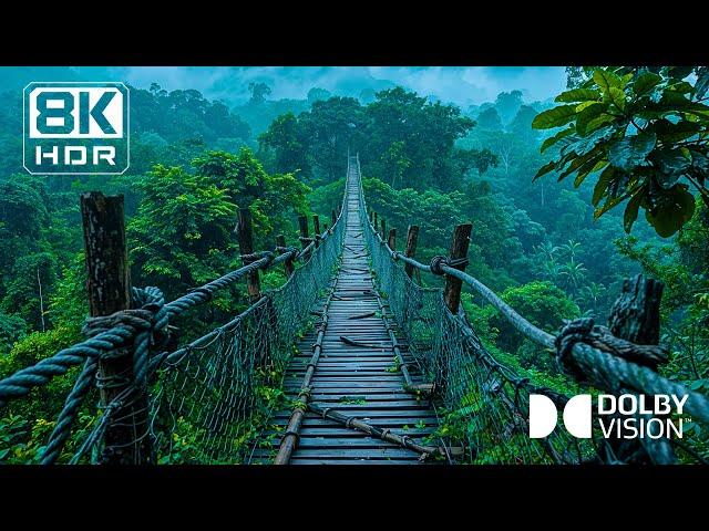 Natural Vistas in 8K HDR Video (60fps) Dolby Vision™