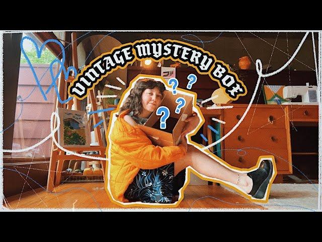 vintage graphic tee mystery box& tour my vintage tshirt collection!  graphic tee thrift unboxing