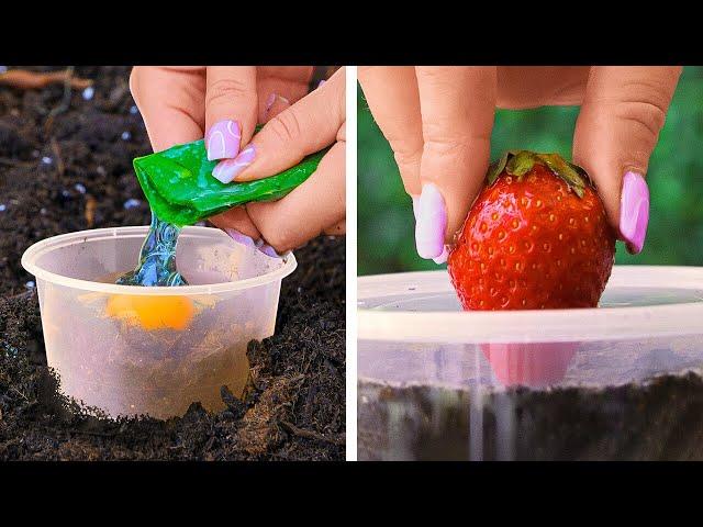 Garden Hacks 101: How to Plant a Food from the Kitchen 