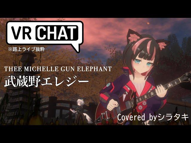 武蔵野エレジー / THEE MICHELLE GUN ELEPHANT  Covered byシラタキ #VRC弾き語り