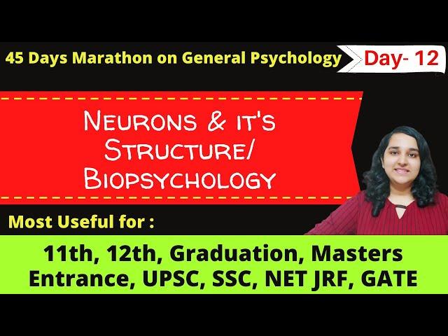 Neurons & It's Structure| Biopsychology| General Psychology| Mind Review