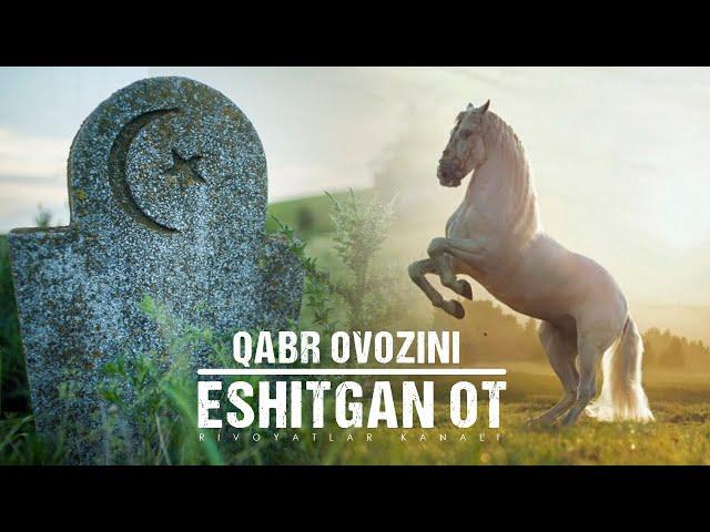 QABR OVOZINI ESHITGAN OT | ҚАБР ОВОЗИНИ ЭШИТГАН ОТ