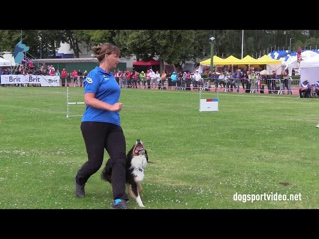 Finals - Karin Fischer Kristiansson + Vallhunden Chapman / Border Collie - Sweden