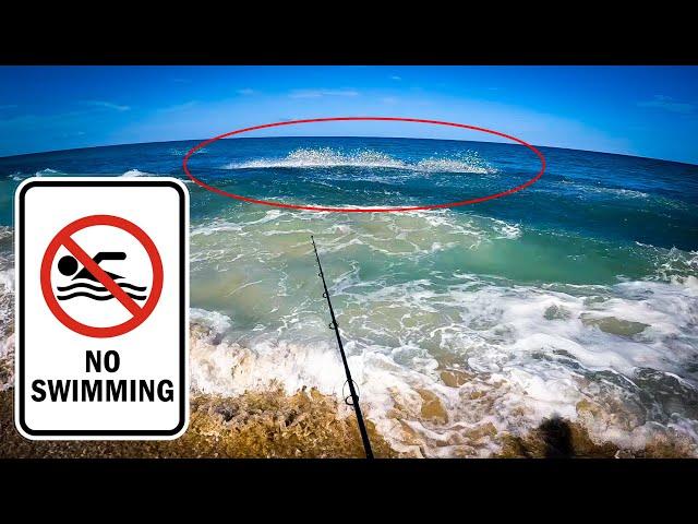 If you see this GET OUT OF THE WATER - Beach Fishing