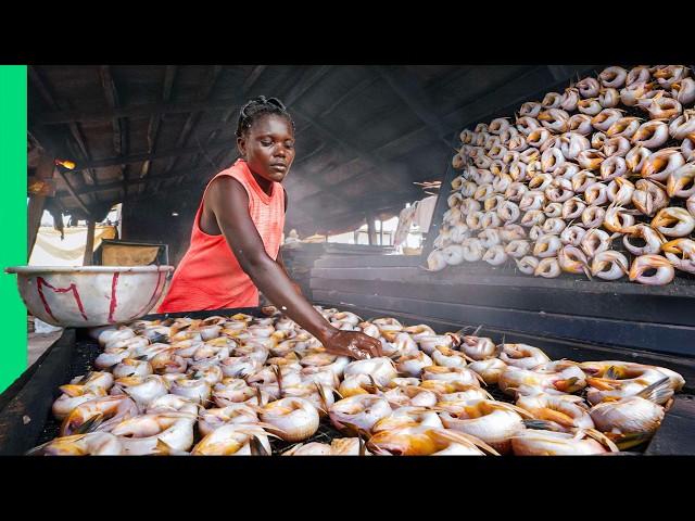 Eating in Africa's WILDEST Fish Market!! Seafood Factory!!