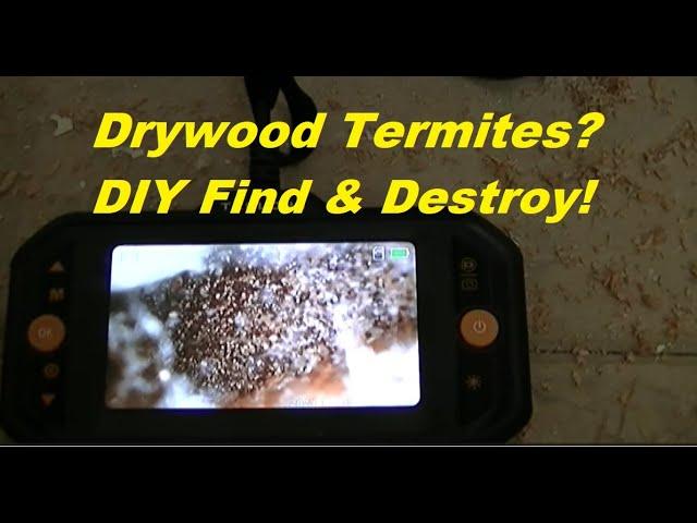 Locate Drywood Termites & Destroy Them!