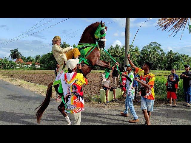 ARAK ARAKAN TERBARU DUKUH DUNGUS GRABAG PURWOREJO-KUDA JINGKRAK TERBAIK PURWOREJO