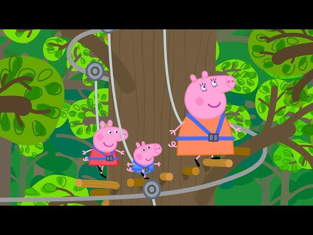 Aventure dans les arbres | Peppa Pig Français Episodes Complets