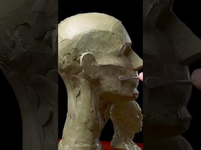 Sculpting a simplified head in clay (secondary forms) time lapse excerpt.