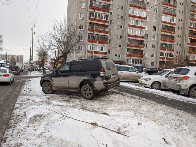 О случаях парковки на газонах просят сообщать в ГИБДД