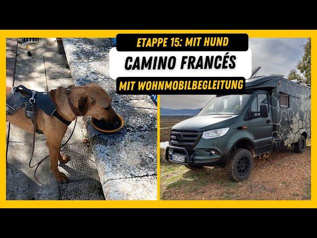 Etappe 15 - Mit Hund!  I Camino Francés mit Wohnmobilbegleitung I Castrojeriz bis Frómista