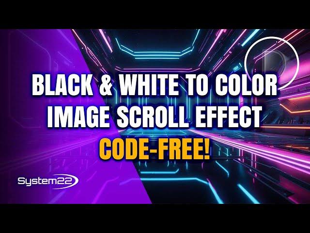 Divi Theme Masterclass: Black & White to Color Image Scroll Effect - Code-Free!