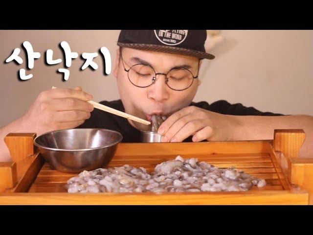 ASMR live baby octopus real sound eating show(Mukbang)