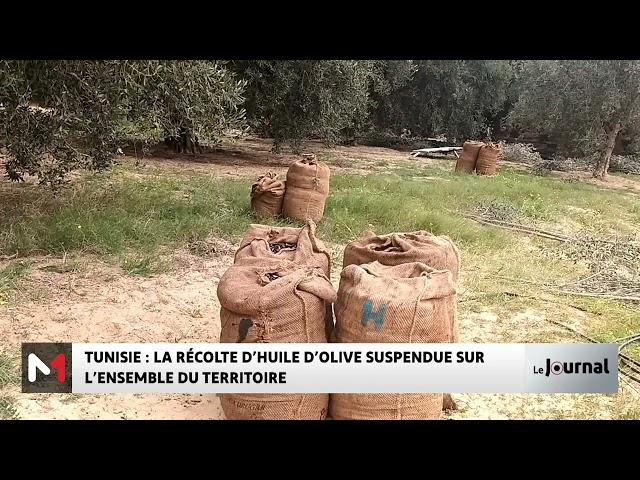 Tunisie : la récolte d´huile d´olive suspendue sur l´ensemble du territoire