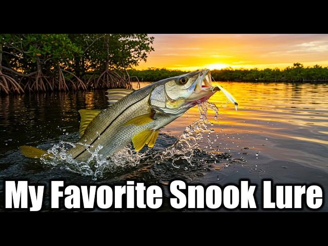 Catching Snook on a kayak fishing trip through Mosquito Lagoon