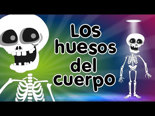 Los Huesos del Cuerpo - Canciones Infantiles