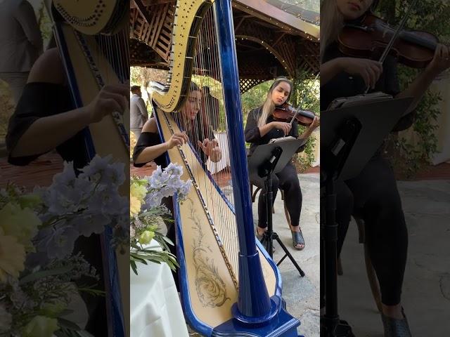 Los Angeles Wedding Ceremony Music - Thinking Out Loud - Harp/Violin Duo - Jason Sulkin Music