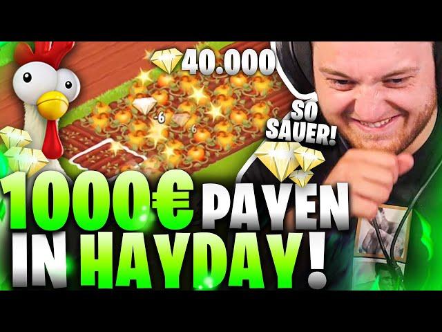 1. MAL HayDay! | Rekord im PAYEN! | Ich mache meine ZUSCHAUER Toxic?