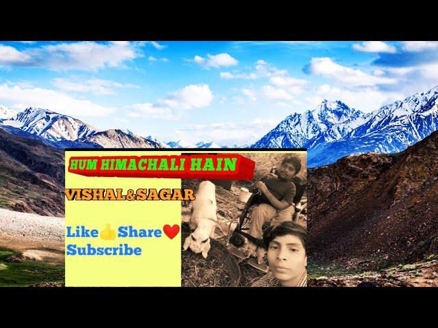 HUM HIMACHALI HAIN || VISHAL & SAGAR || HAMIRPUR HP