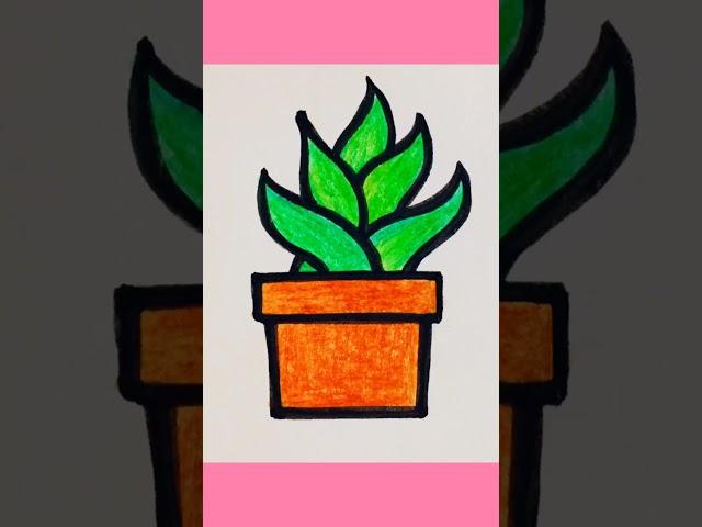 How to draw Aloe Vera plant