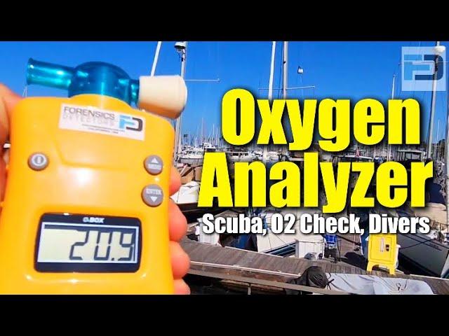 Oxygen Analyzer Applications (FD-O2BOX)