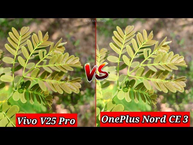 OnePlus Nord CE 3 VS Vivo V25 Pro Camera Comparison | OnePlus Nord CE 3 Camera Review |