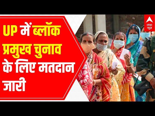 Voting for Uttar Pradesh Block Pramukh Chunav Underway