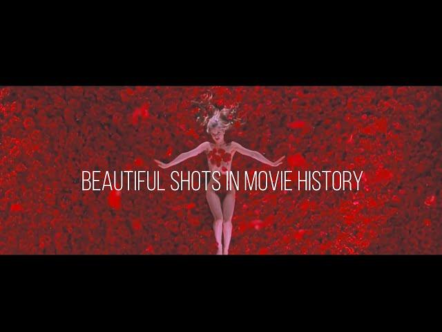 The Most Beautiful Shots in Movie History
