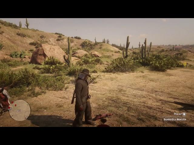 Banded gila monster location rdr2 online