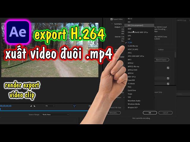 After Effects | Xuất Video Clip đuôi .mp4 codec H.264 cực dễ trong After Effects | Render export