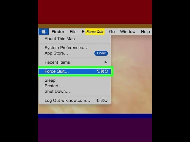 How to Force Quit an Application on a Mac