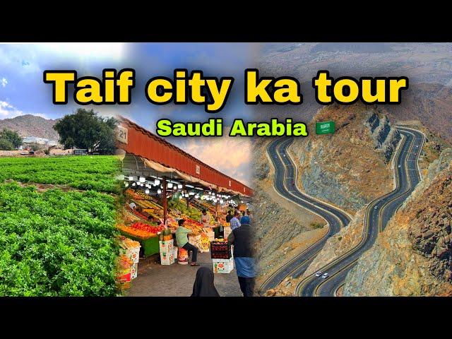 Taif city Saudi Arabia  | taif city urdu | Abdul Latif chohan