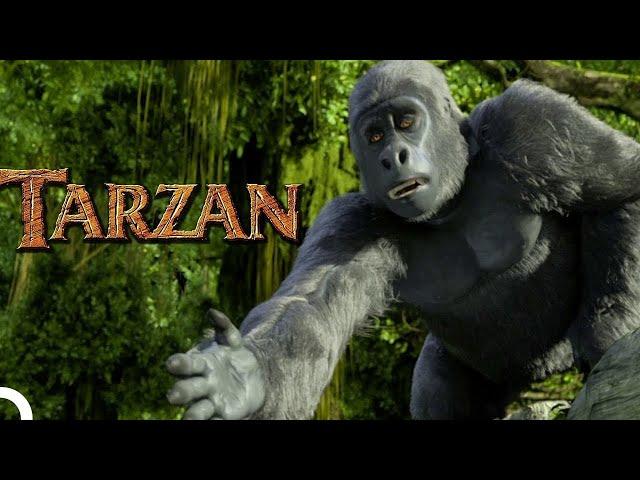 Tarzan - Çizgi Film (Türkçe Dublaj HD)