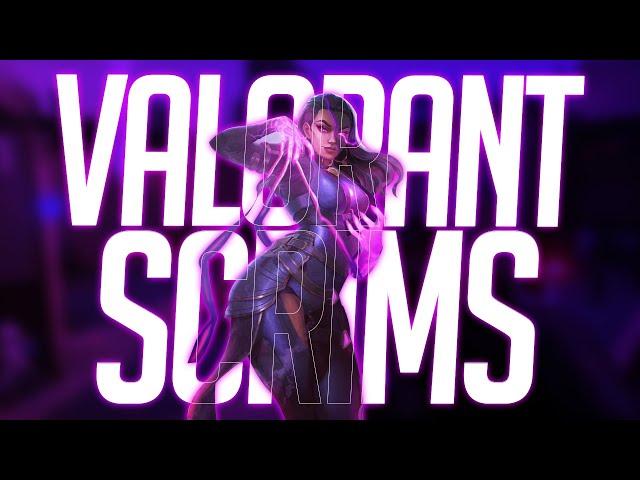 Valorant Scrims Live | Rogue Scrims| Low Rank Scrims|!join