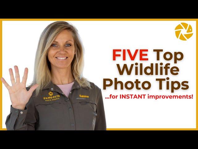 INSTANTLY IMPROVE Your Wildlife Photography!