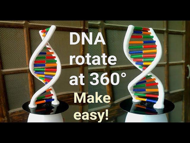 How to Make DNA Model Using Clay || Rotating DNA Model