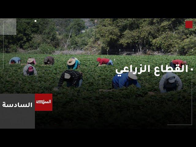 السادسة | وزيرا الزراعة والعمل يبحثان جملة الاختلالات المتعلقة بالعاملين في القطاع الزراعي