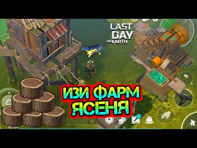 Изи фарм ЯСЕНЯ на самой опасной локации в игре БОЛОТО Last Day on earth: Survival