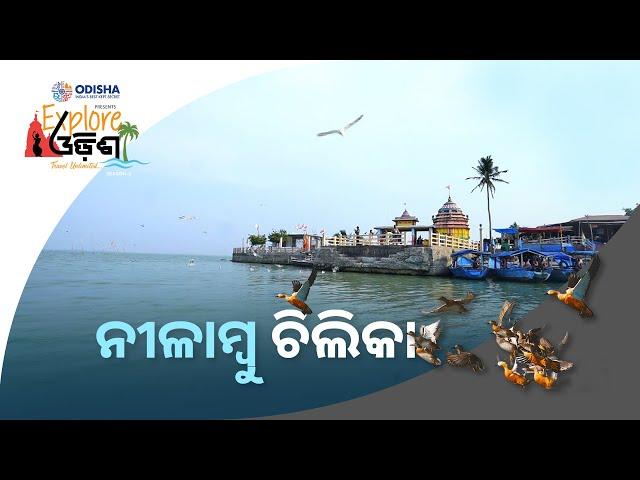 ନିଳାମ୍ବୁ ଚିଲିକା | Swosti Chillika Resort | Explore Odisha Season 2 | Prameya News7
