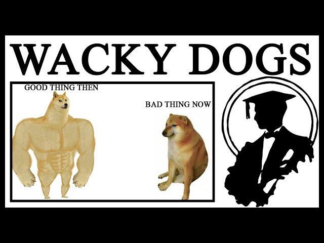 Who The HECK Are Swole Doge And Crying Cheems?