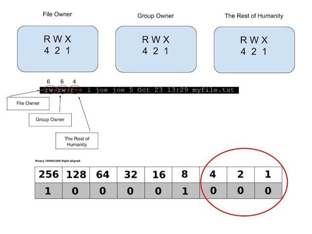 Linux CHMOD Tutorial (Part 01)