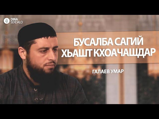 «Бусалба сагий хьашт кхоачашдар» — Галаев Умар