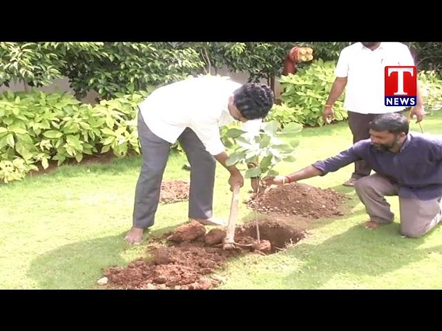 MP Santhosh Kumar Participates in Haritha Haram | Hyderabad | T News live Telugu