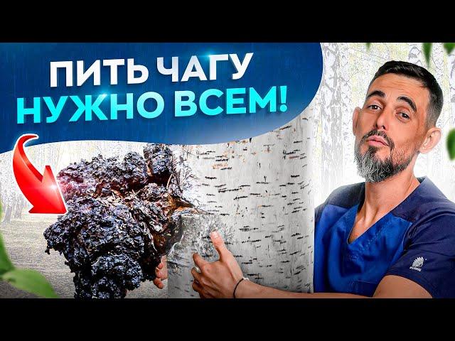 23 причины начать пить березовую Чагу. Поразительный эффект!