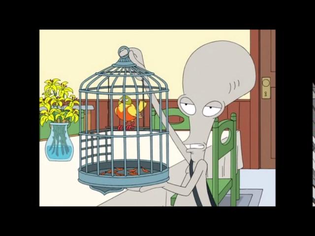 american dad ortolan